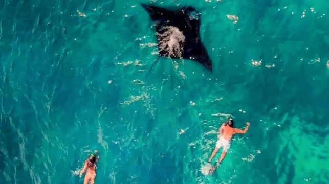 印尼科莫多島出海一日遊粉紅沙灘科莫多龍帕達爾島魔鬼魚大蜥蜴