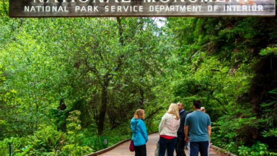 San Francisco: Muir Woods Bus & Golden Gate Bridge Bike Tour