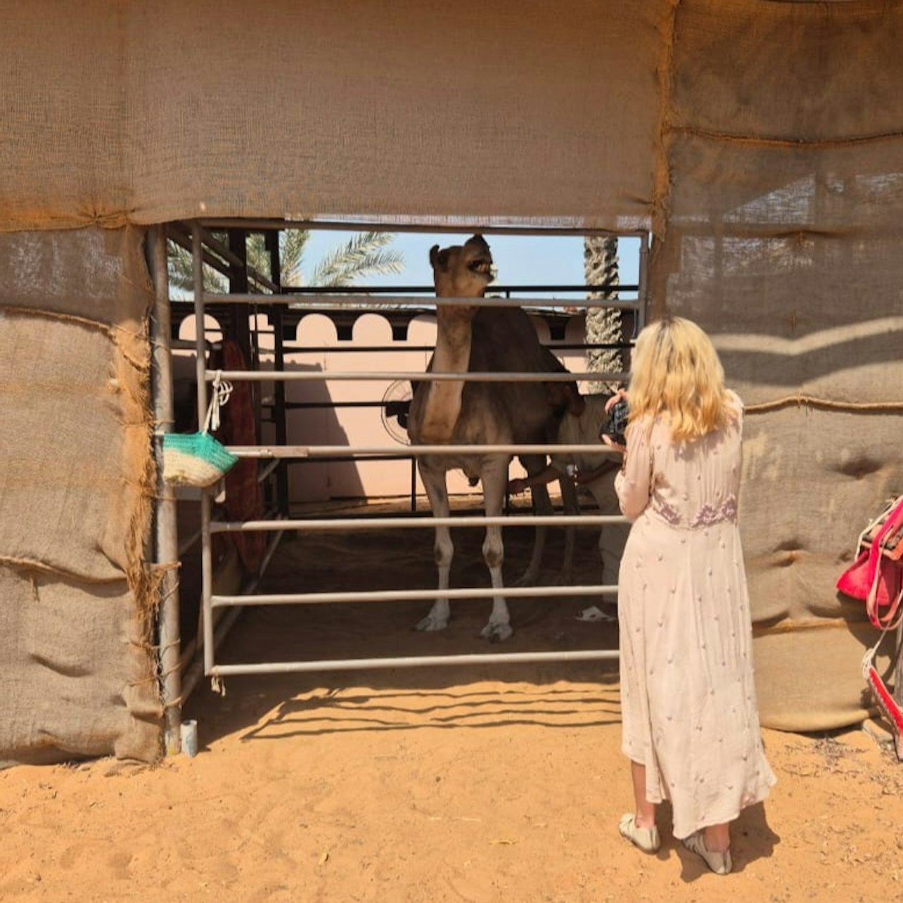 Al Ain: Private Guided Day Tour from Abu Dhabi