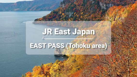 [Official Ticket] JR EAST PASS (Tohoku Area) Electronic Ticket