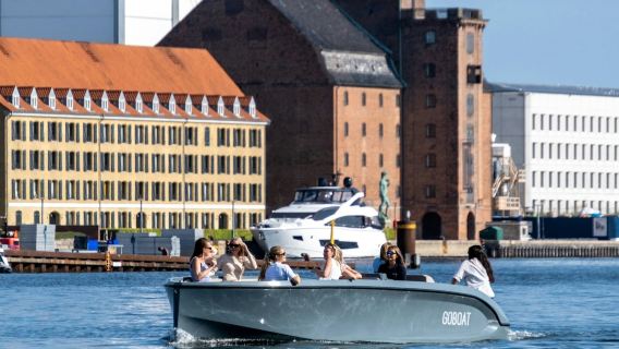 โคเปนเฮเกน: ทัวร์ล่องเรือชมท่าเรือพร้อมไกด์