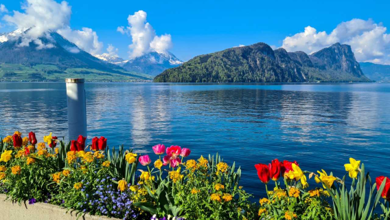 瑞士｜卡佩爾廊橋+垂死獅子像+天鵝廣場+老城+盧塞恩湖