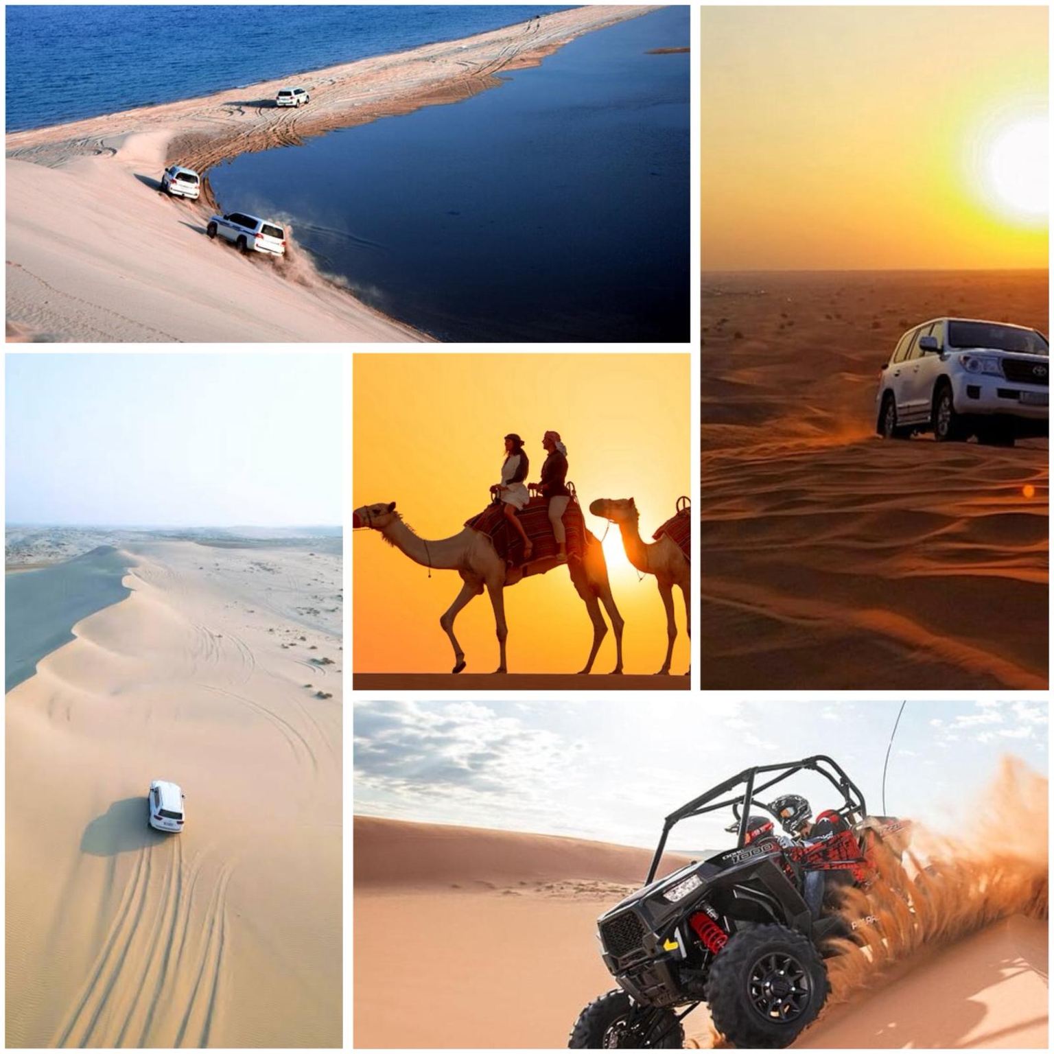 Qatar Inland Sea Desert Safari with Camel Ride, Dune Bashing, Sandboarding & Quad Biking