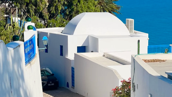 チュニス+シディ・ブ・サイド+アントニヌス浴場+カルタージュ遺跡ワンデーツアー【プライベート専用車】