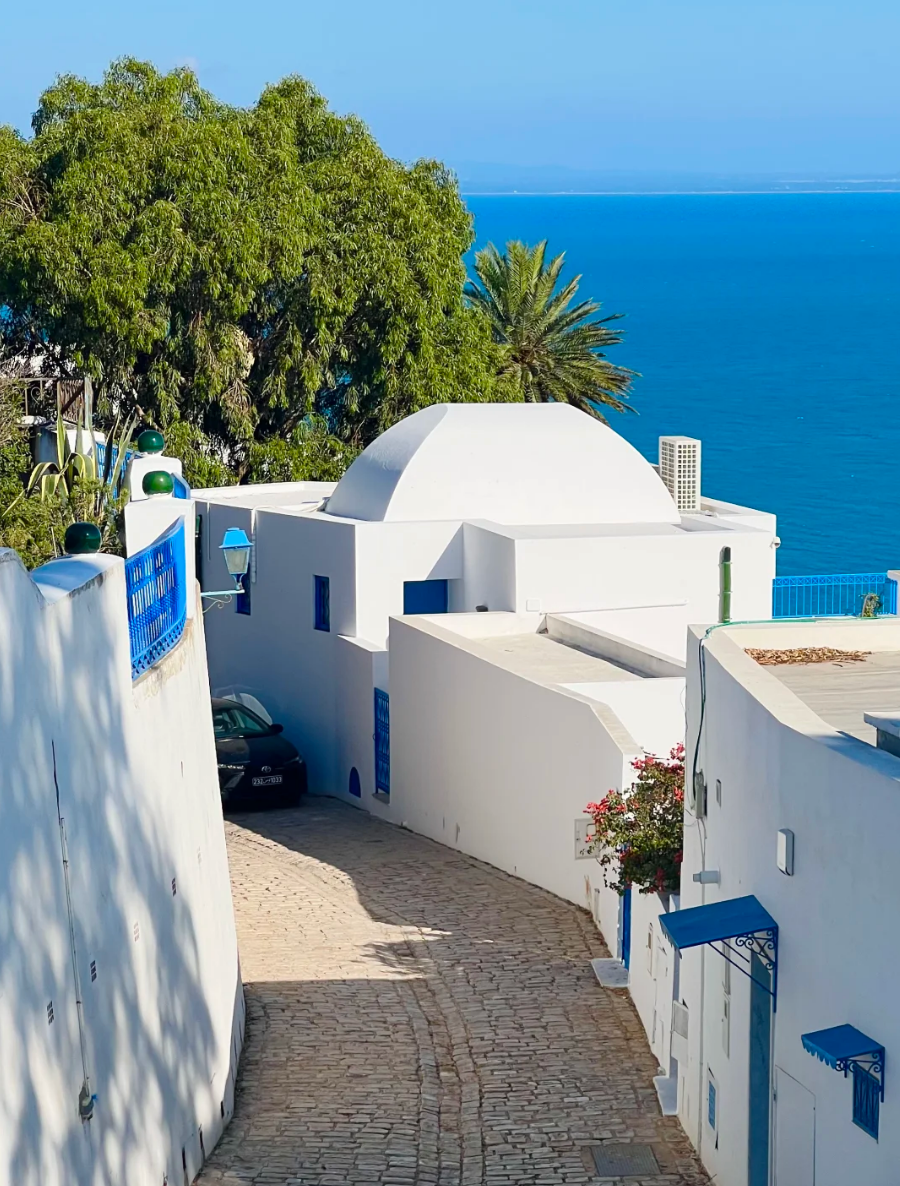 突尼斯+藍白小鎮+古羅馬浴場+迦太基遺址一日遊【私家專車】