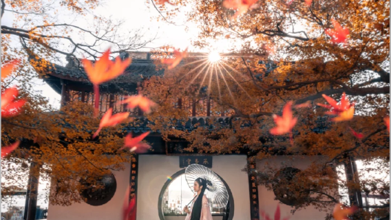 서호 풍경구 명승지 여행 버틀러 서비스