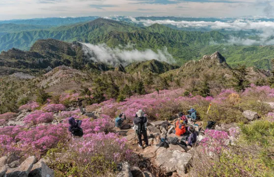 韓國江原道雪山國立公園+南怡島一日遊【首爾出發 • 中英文導遊】