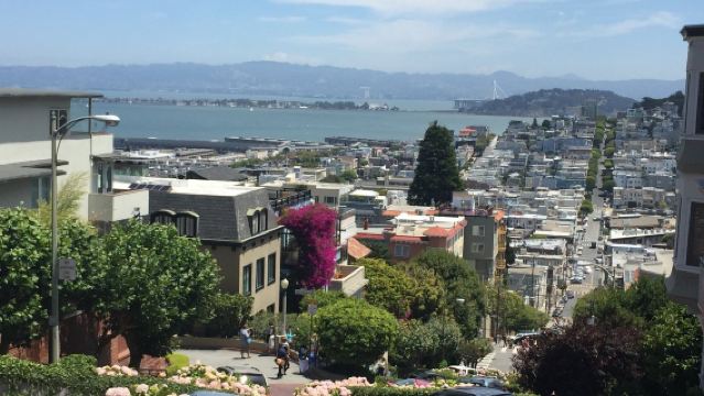 美國舊金山金門大橋+漁人碼頭+舊金山藝術宮+九曲花街【中文包車】