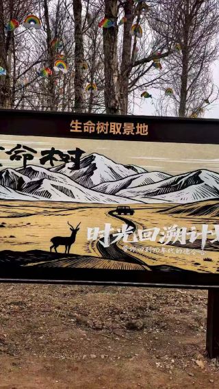格爾木+德令哈·生命樹拍攝取景地1日