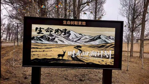 格爾木+德令哈·生命樹拍攝取景地1日