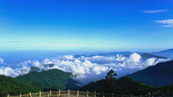 Chengdu Private Day Tour to Xiling Snow Mountain [Multiple Vehicle Options Available | Ideal for Group Travel]