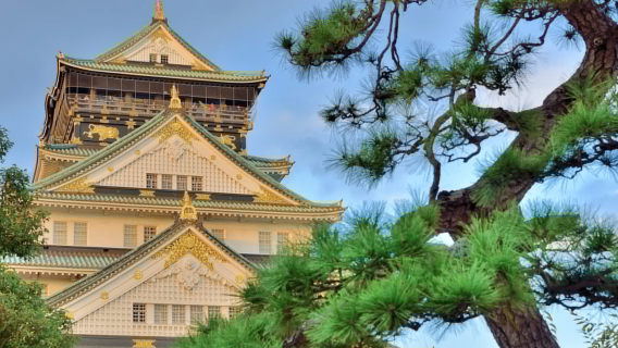 Noleggio con conducente esclusivo/transfer/point-to-point dall'aeroporto di Osaka a Kyoto, Nara e Kobe in Giappone con autista cinese/giapponese/inglese