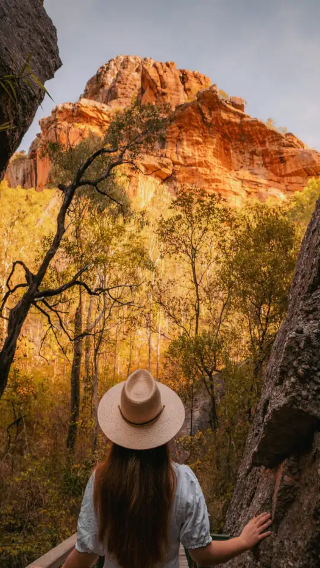 Darwin Kakadu National Park 1-day tour (crocodile cruise | foggy creek wetlands | English-speaking group)