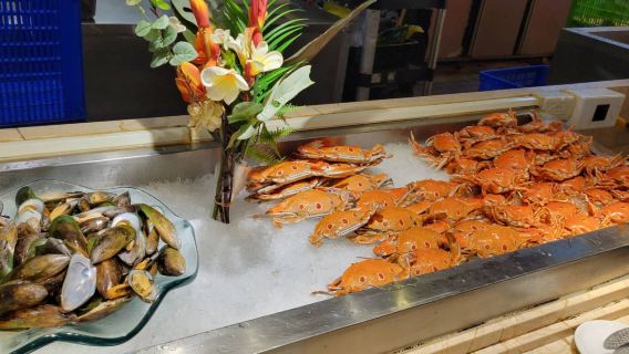 台中グルメ｜潮港城国際美食館 - 太陽百匯  食べ放題ビュッフェチケット｜電子チケット