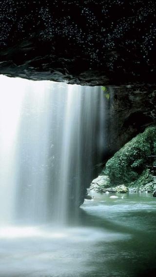 ทัวร์ยามค่ำคืนที่อุทยานแห่งชาติสปริงบรูก [ชมหิ่งห้อยเรืองแสงสีฟ้า พร้อมไกด์นำเที่ยวภาษาจีน/อังกฤษ]