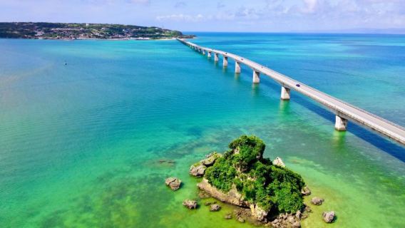 Okinawa LeaLea Bus Tour | Explore 3 Top Sightseeing Spots on the "Chura" Bus! 3-Hour Stay at Churaumi Aquarium & Included Local Taco Rice Lunch