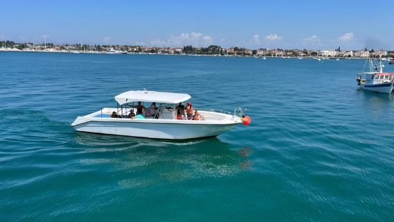 Umag: Dolphinwatching & lighthouse Savudria panorama tour