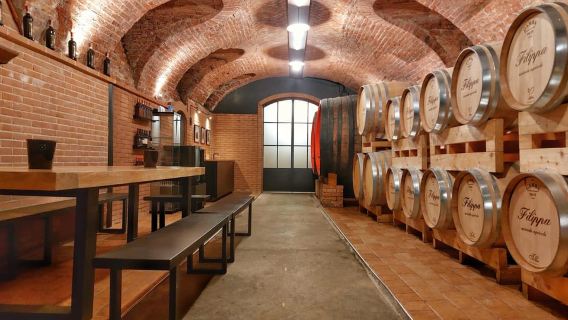 Langhe e Monferrato: Tour & Wine tasting of Agliano Wines