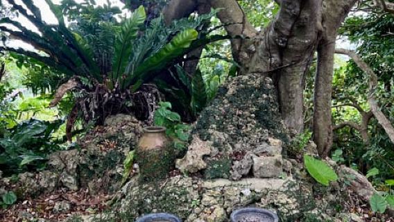 Okinawa: Nanjo Ozato Area Spiritual and Utaki Hike