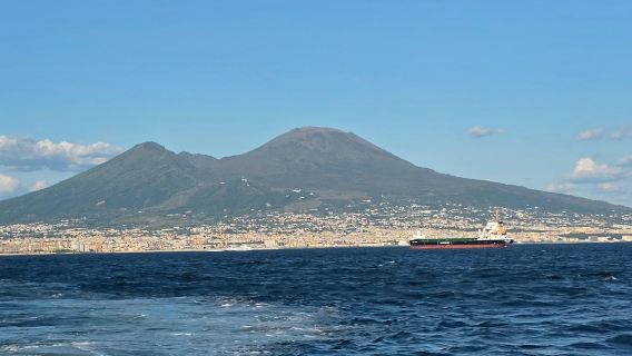 Napoli: Sightseeing krydstogt