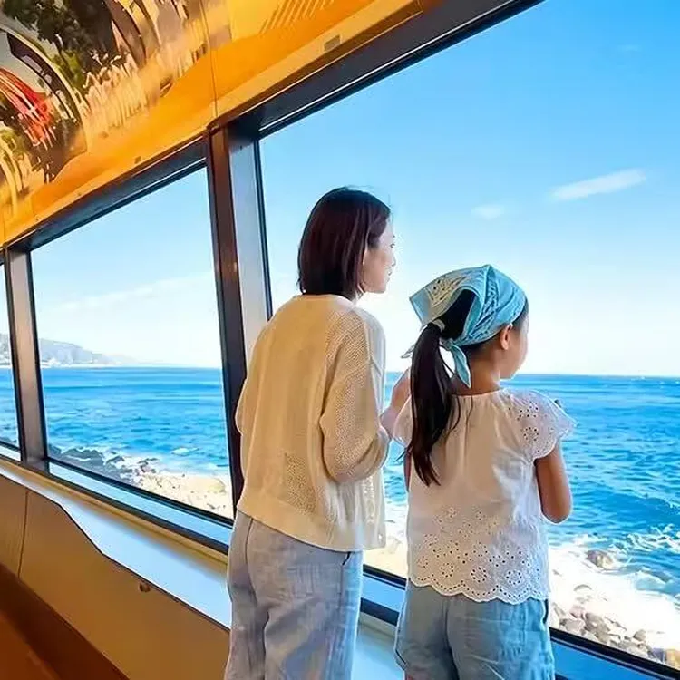 Izu Day Trip from Tokyo: Mount Omuro · Zoo · Coastal Sightseeing