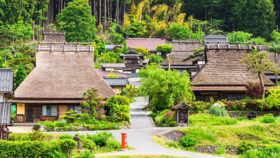 [Departure guaranteed] Leisurely sightseeing at 2 popular spots in Kyoto in one day | Approximately 3 hours in Arashiyama & approximately 2 hours in Kayabuki No Sato [Departing from Namba, Umeda, Kyoto]