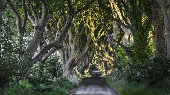 BelfastTours