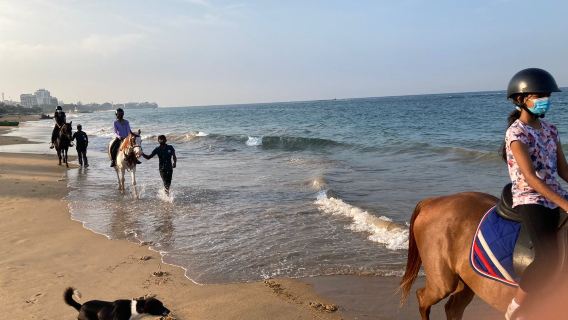 Horse Riding in Mount Lavinia