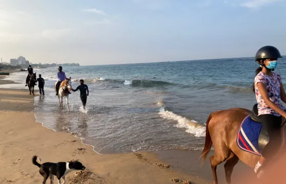 騎馬體驗（拉維尼亞山）