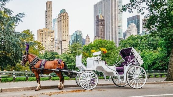 New YorkTours