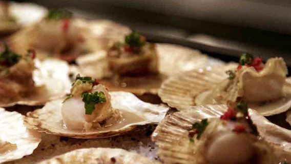 Holiday buffet lunch or dinner coupon at Le Méridien Taipei Discovery Kitchen