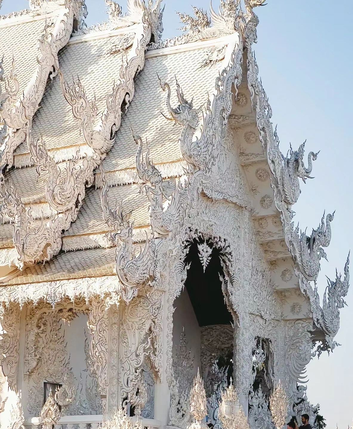 Chiang Rai 1-day tour: Rong Suea Ten Temple + Wat Rong Khun - White Temple + Baan Dam Museum [Long Neck Village | Chinese-speaking guide | Hotel transfers]