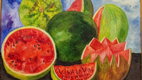 พิพิธภัณฑ์ฟรีดา คาห์โล และพิพิธภัณฑ์ลีออน ทรอตสกี้: ตั๋วเข้า + ทัวร์พร้อมไกด์