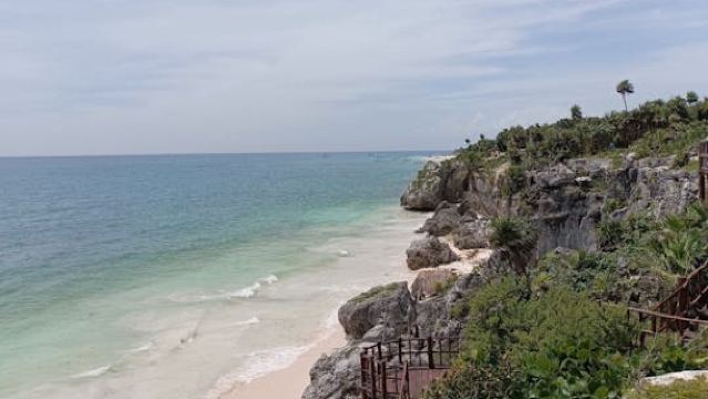 Full-Day Luxury Tour to Tulum, Cenote, and 5th Avenue Playa del Carmen
