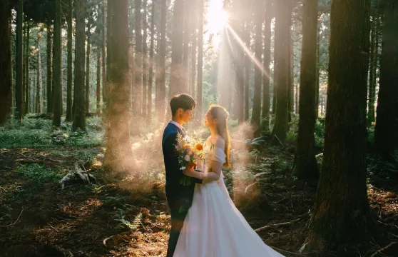 信陽Trip Moments【商業攝影攝像/婚紗寫真婚禮跟拍航拍街拍抓拍約拍/多語種翻譯】