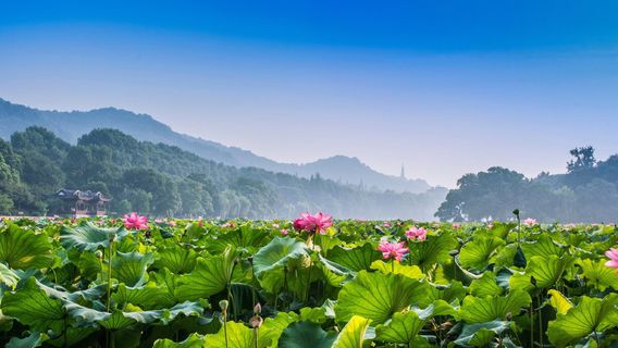 HangzhouTours