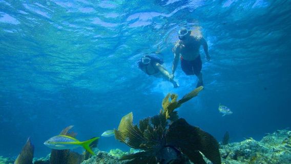 Key WestTours