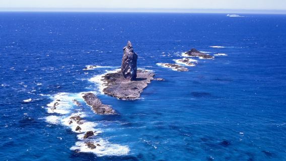 Hokkaido Coastline | Shakotan Cape Kamui + Otaru + White Lover 1-Day Tour | Depart from Sapporo