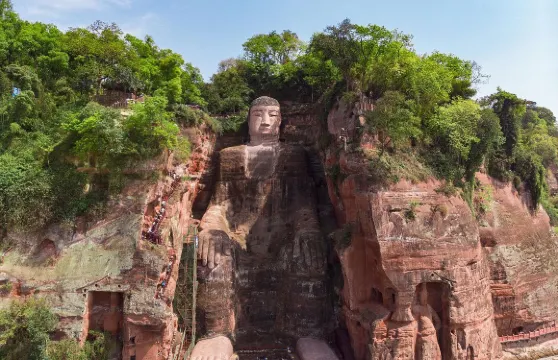 成都必遊：成都大熊貓繁育研究基地＋樂山大佛1日英文旅行團