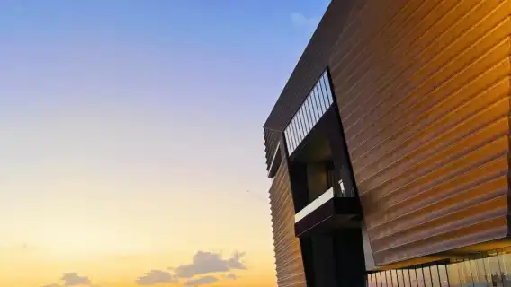 香港中環摩天輪+太平山頂【6小時包車+導遊-可自訂行程】