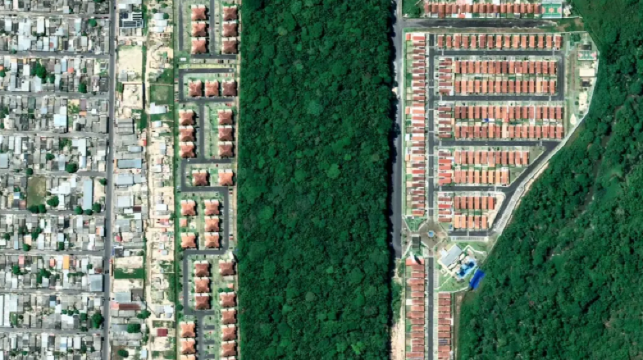 巴西+瑪瑙斯-亞馬遜河-亞馬遜競技場-中文專車-安全無憂