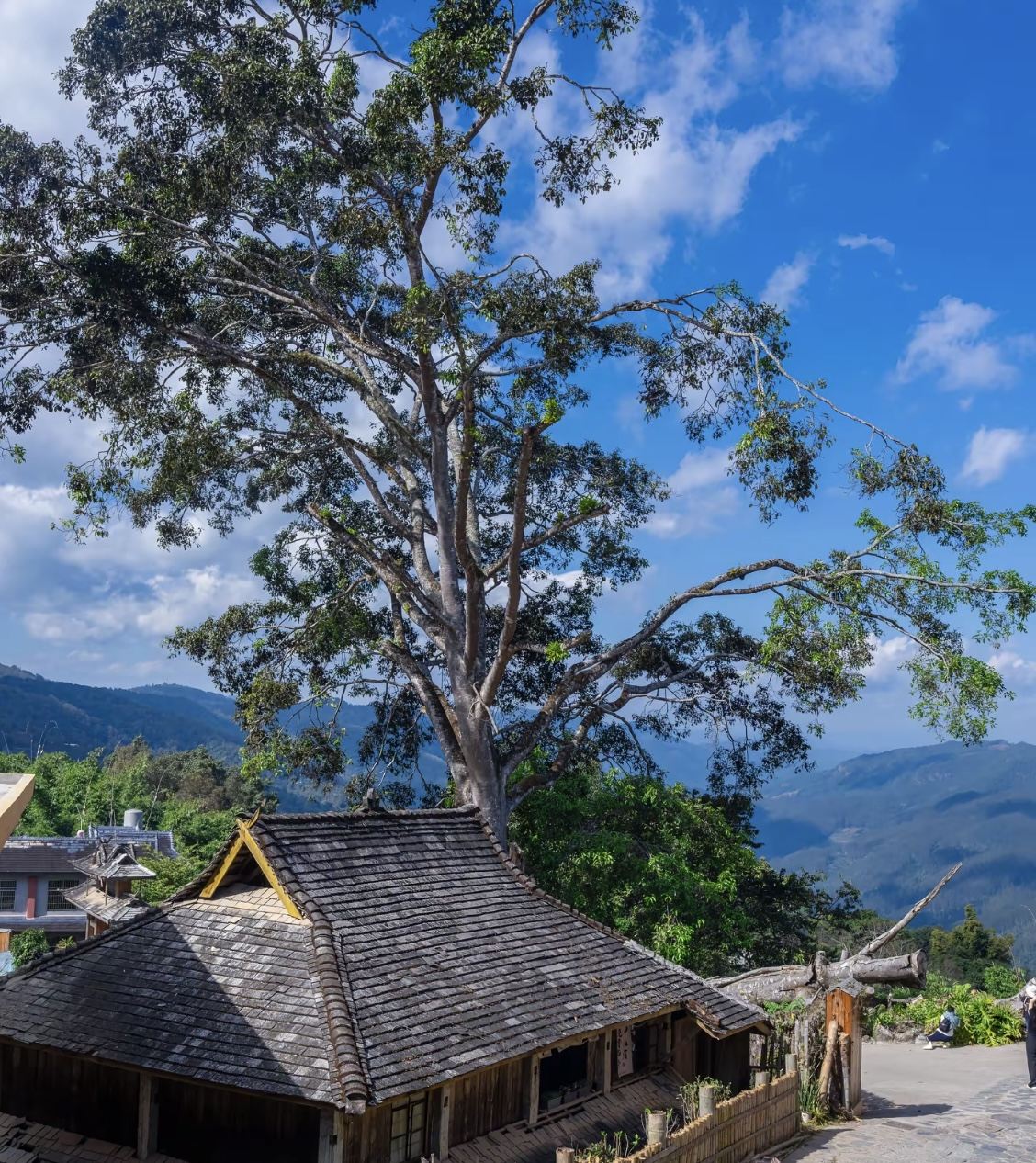 [ทัวร์เหมารถส่วนตัว] หมู่บ้านเก่านั่วกาน+หมู่บ้านเก่าของชาวองควิบราว+ทัวร์ 1 วันที่ภูเขาจิ่งหม่าย | ทัวร์เต็มวันเหมารถส่วนตัว