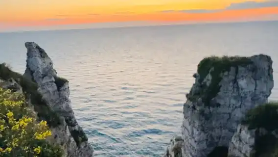 諾曼第登陸：象鼻山＋莫奈花園【12小時包車一日遊】