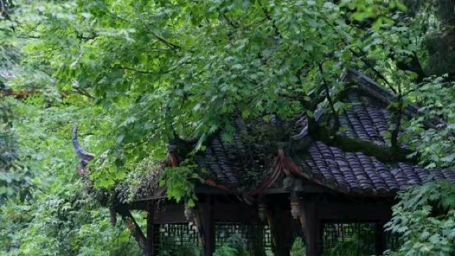 映秀震中遺址+都江堰景區一日遊包車獨立出行/三環內含接駁