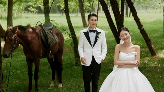 Trip Moments del Condado de Xunyang[Condado de Xunyang/Ciudad Taiji del Condado de Xunyang/Fotógrafo acompañante para sesiones/Conductor-guía/Traductor/Personalizado]