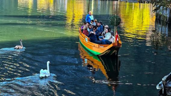 維也納哈爾施塔特湖一日【童話小鎮深度遊/可選出發地/中文司導