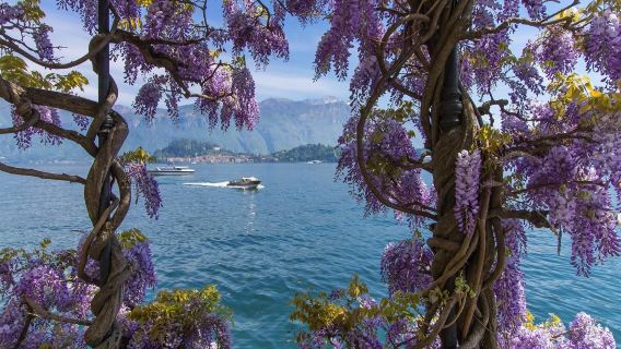 круиз / прогулочное судно / круизный катер по озеру Комо в Италию, однодневный тур в Белладжио, Милан, туда и обратно/в обе стороны по озеру Комо