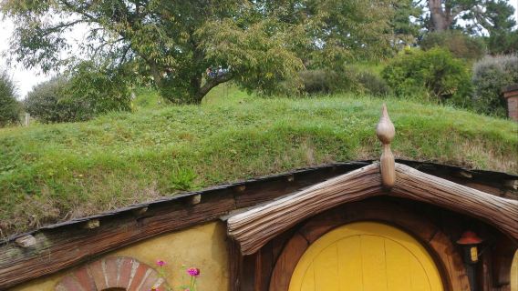 紐西蘭霍比屯+懷托摩螢火蟲洞一日遊｜奧克蘭出發｜可小團｜包車