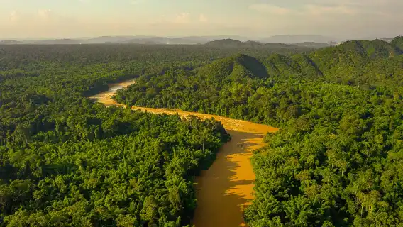 從胡志明市出發：Cat Tien National Park 叢林健行與野生動物之旅