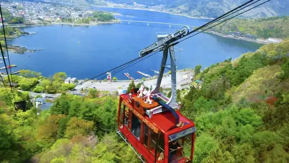 河口湖纜車登頂+西湖里根場療癒之旅，贈品茶體驗，遙望富士山